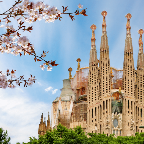 ������/�������� 12��*[2026/03/08-19]