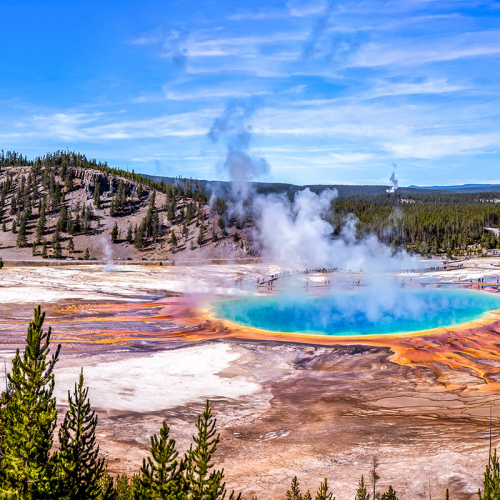 ���ο콺��/�̼���(����)14��*[2026/06/17-30]